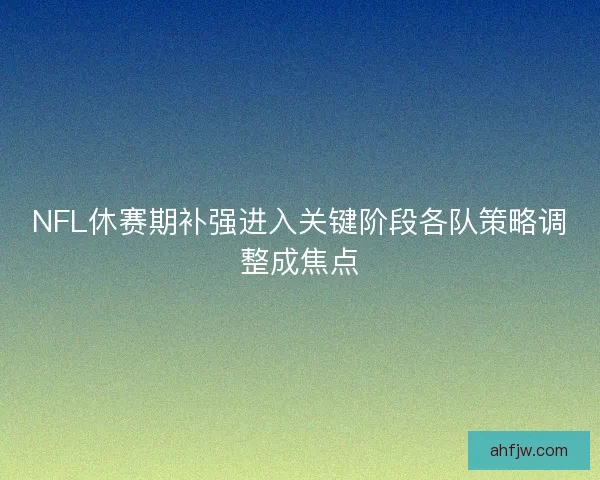 NFL休赛期补强进入关键阶段各队策略调整成焦点