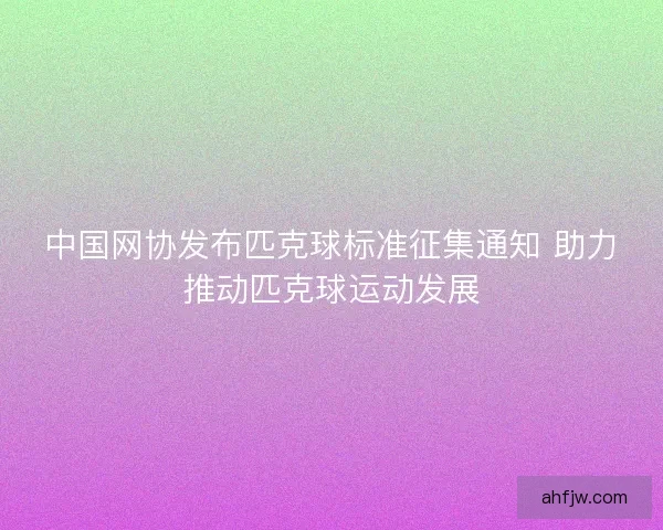中国网协发布匹克球标准征集通知 助力推动匹克球运动发展