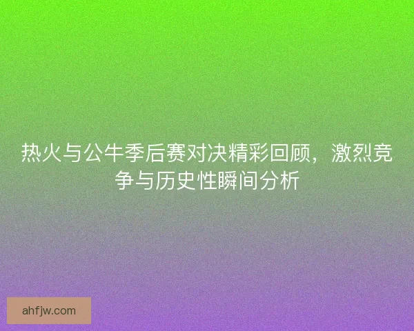 热火与公牛季后赛对决精彩回顾，激烈竞争与历史性瞬间分析